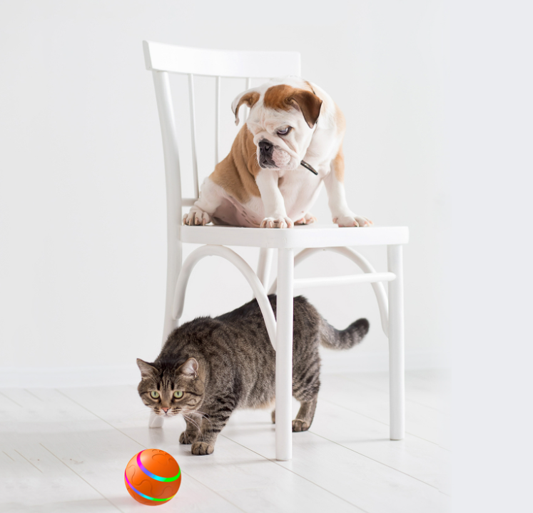 opodus™ selbstbewegender Katzen & Hunde Spielball